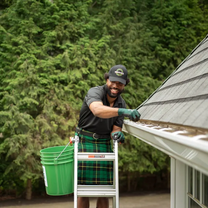 Professional Gutter Cleaning Services