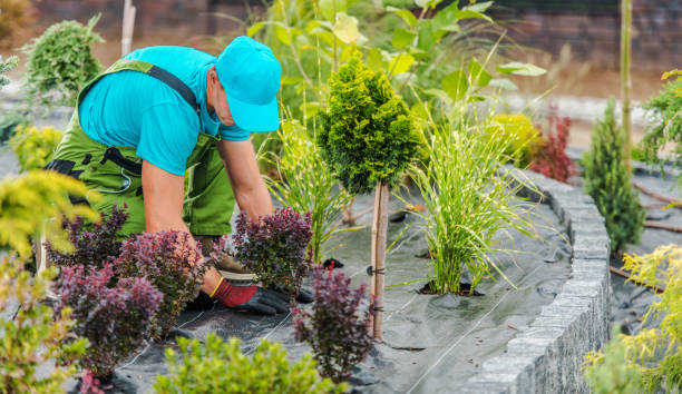 Landscaping Services